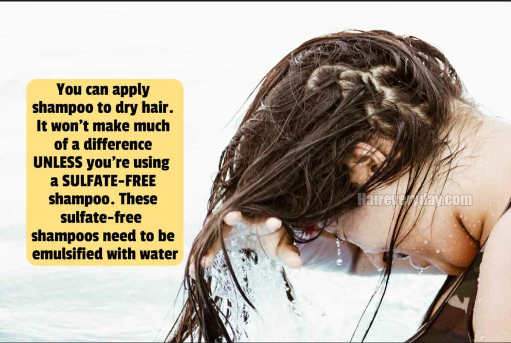 Is it better to put shampoo on dry hair