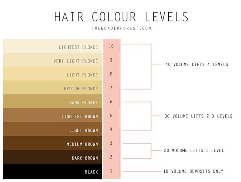 levels of bleached hair