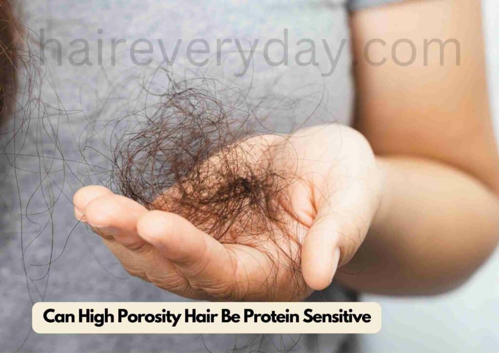 Can High Porosity Hair Be Protein Sensitive