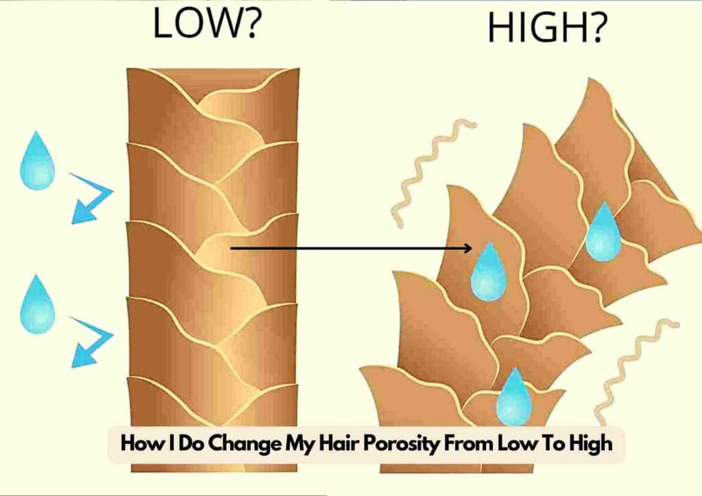 How I Do Change My Hair Porosity From Low To High