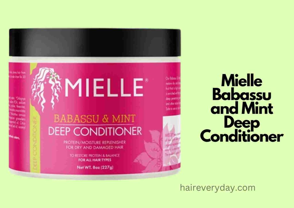 Mielle Babassu and Mint Deep Conditioner