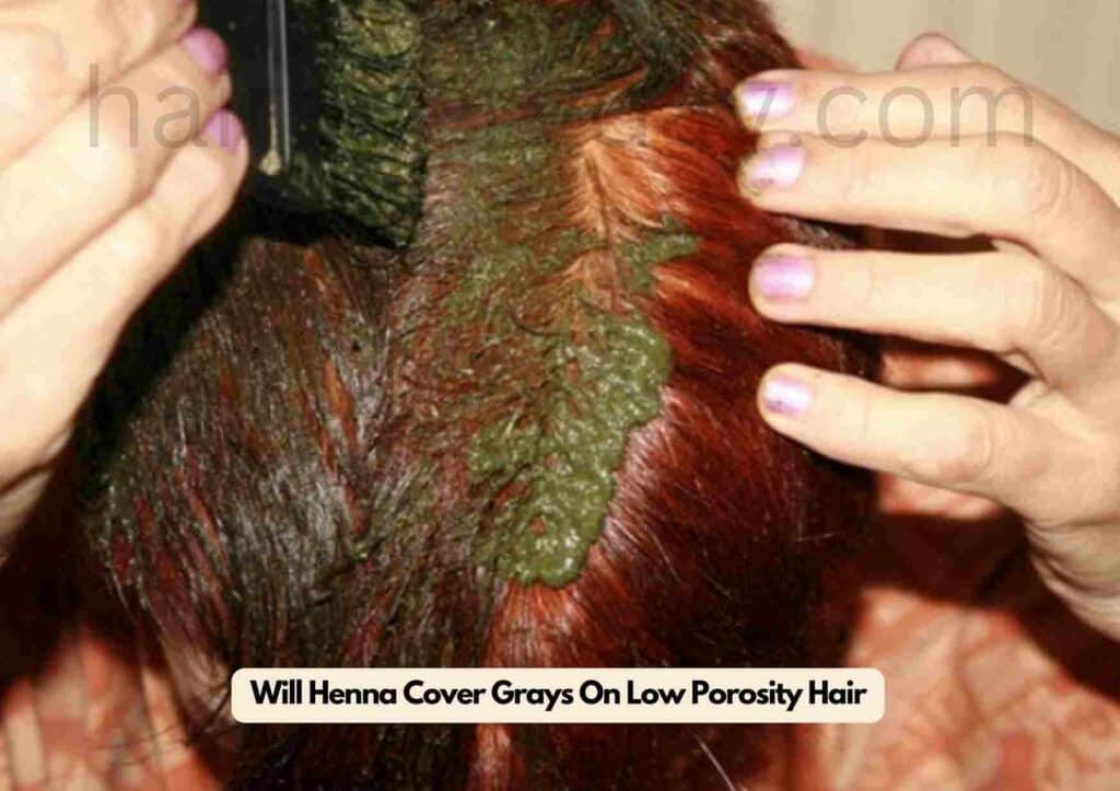 Will Henna Cover Grays On Low Porosity Hair