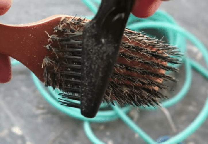 How To Clean Wooden Hair Brush Without Damaging The Body