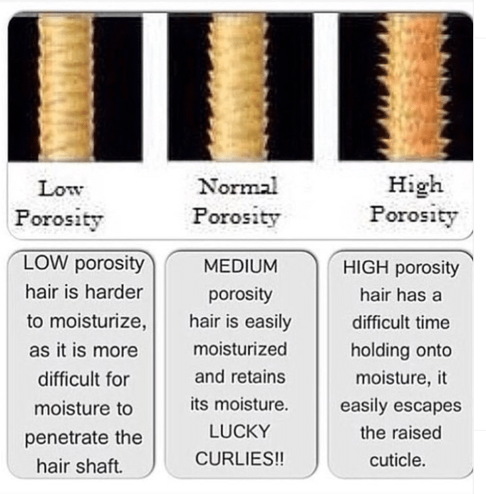 Is It Possible For Hair Porosity To Change Over Time
