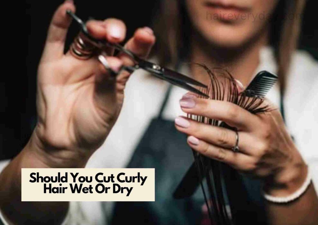 Should You Cut Curly Hair Wet Or Dry