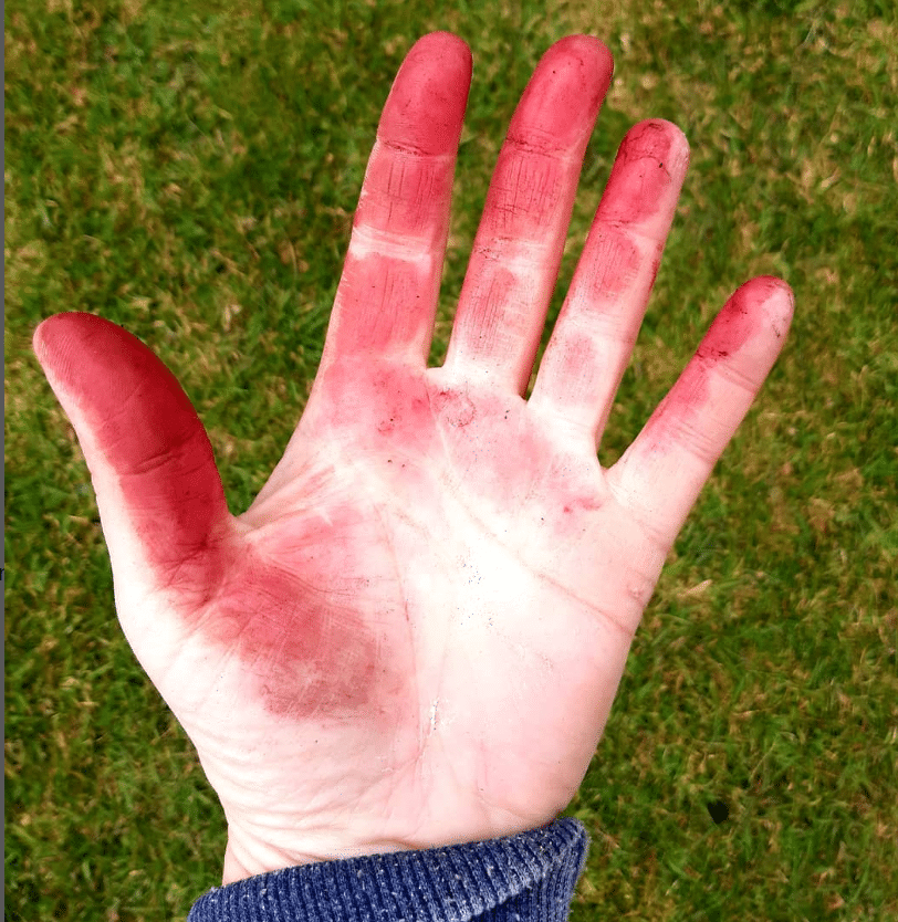 Side Effects Of Using Beetroot Hair Dye On Hair