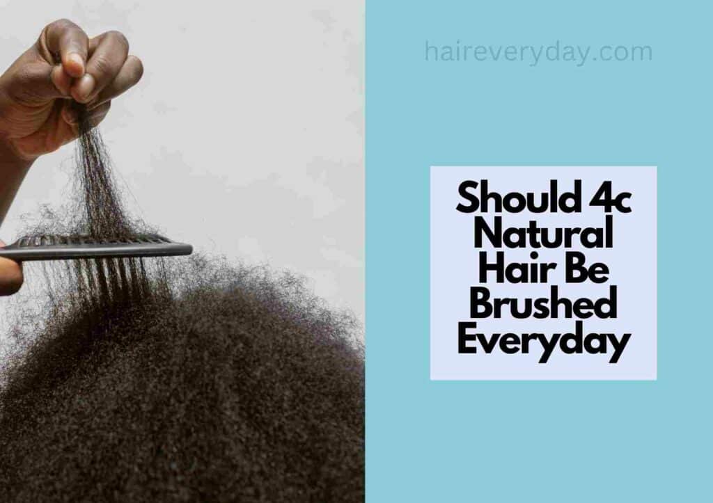 Should 4c Natural Hair Be Brushed Everyday