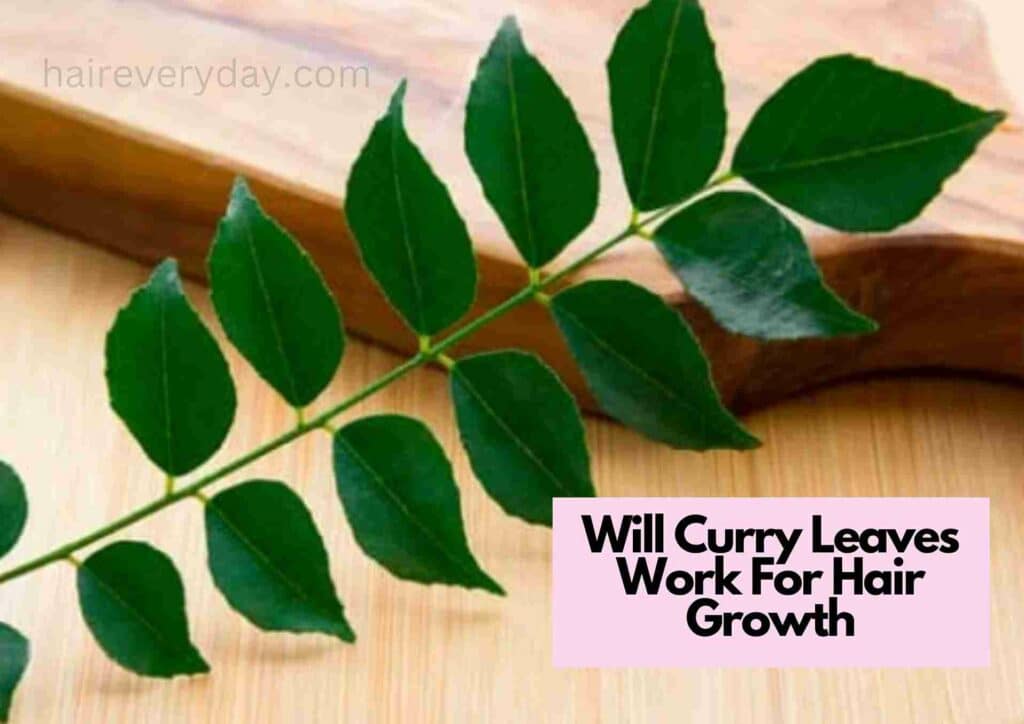 Will Curry Leaves Work For Hair Growth