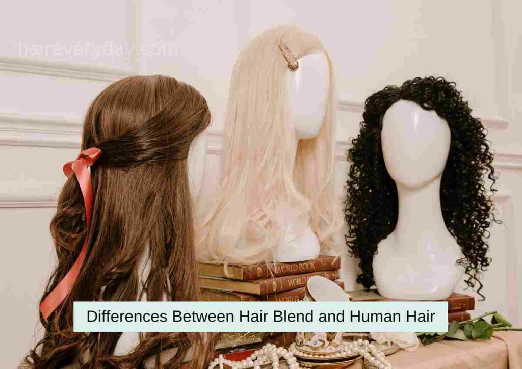 Differences Between Hair Blend and Human Hair