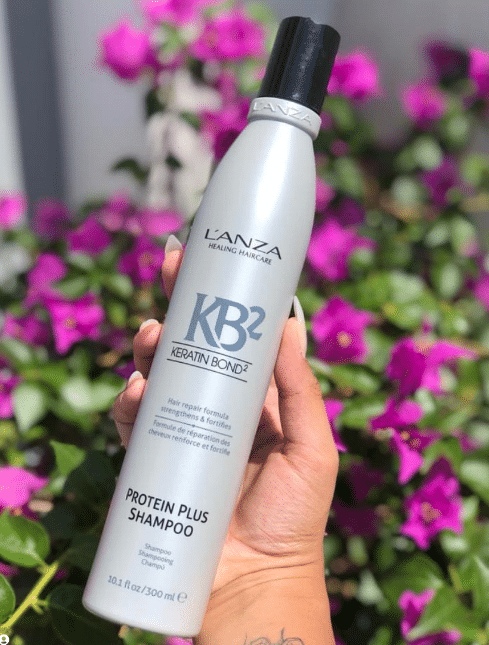 L'ANZA KB2 Protein Reconstructor Review