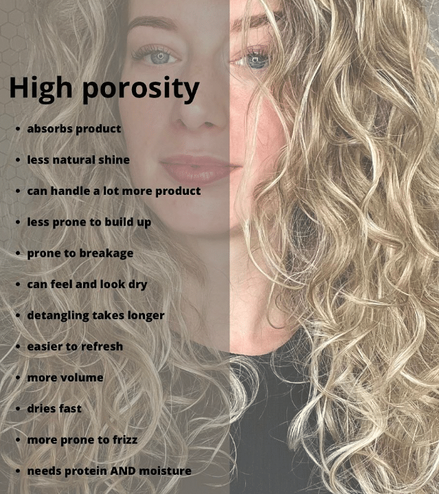 What is High Porosity Hair
