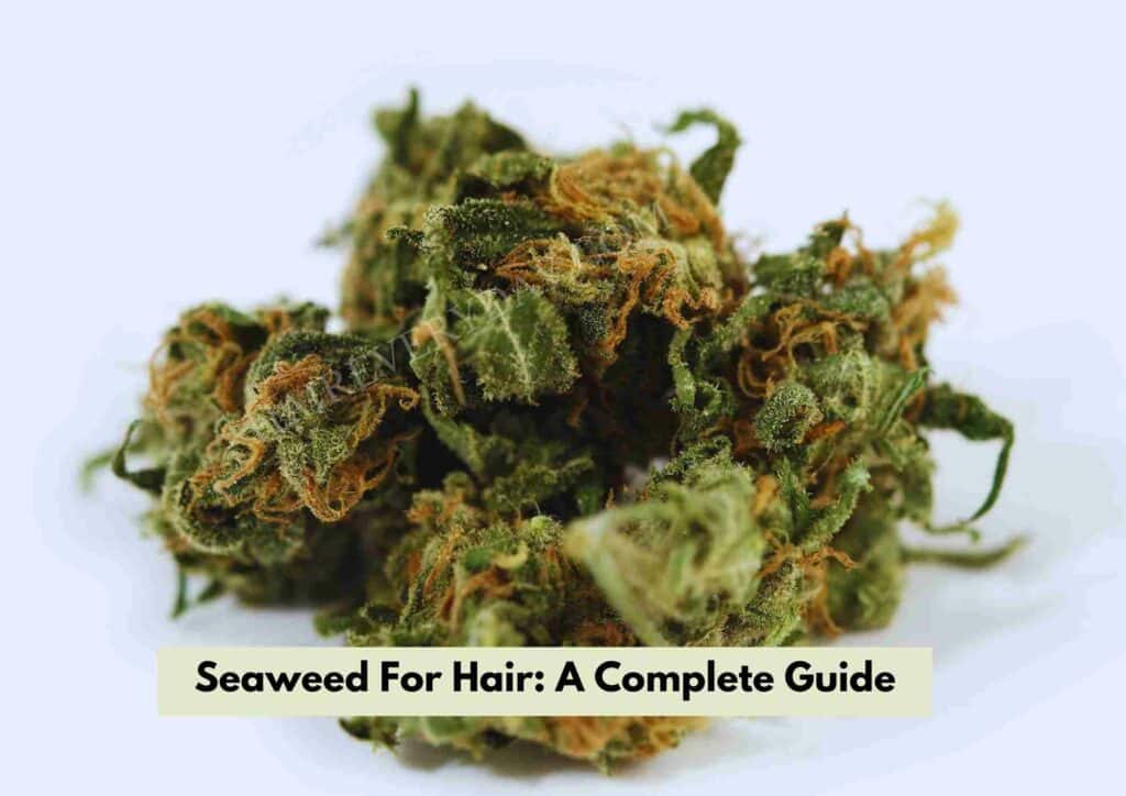 Seaweed for Hair